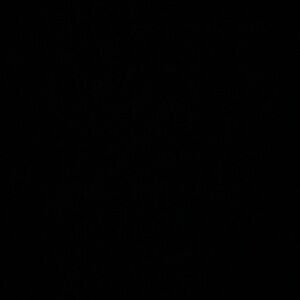 Meet your Posher, Rashard